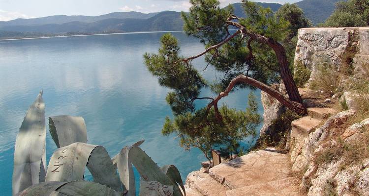 Kalm meer met een hellende boom en verre heuvels.
