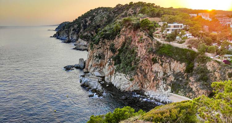 Coastal cliffs with green vegetation at sunset.