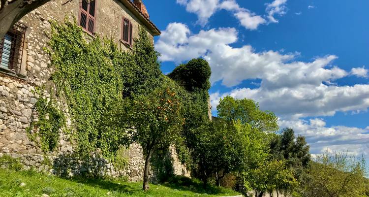Rustikale Hauswand, die mit Efeu und Blumen bedeckt ist.