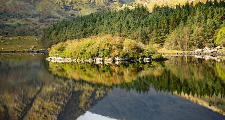 Small island with trees in a calm lake