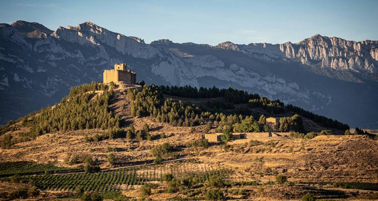 Hilltop castle fortress surrounded by forests and mountains in the background.