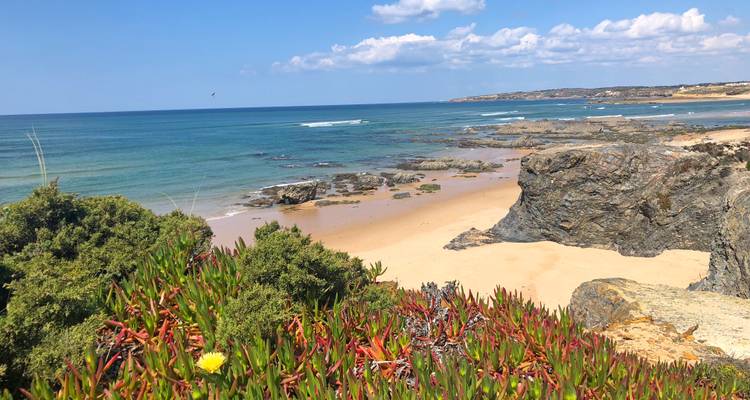 A rocky beach coastline with vibrant plant life and blue sea.