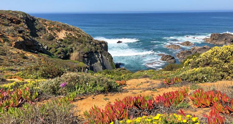 Cliffside view of rugged coastline with colorful vegetation and blue ocean.