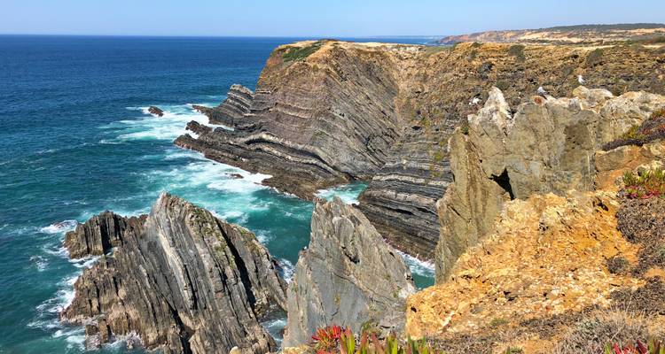 Les falaises marines spectaculaires et stratifiées de Costa Vicentina plongent dans l'Atlantique avec des vagues qui se brisent en contrebas.