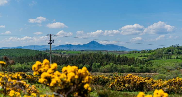 Scenic view of a mountain range and countryside with yellow flowers.