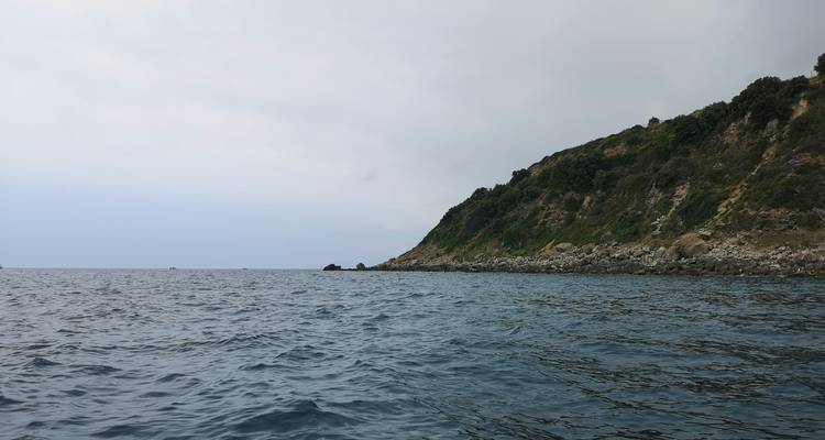 Paysage côtier avec rivage rocheux.