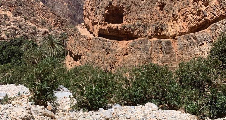 Rocky canyon with desert vegetation.