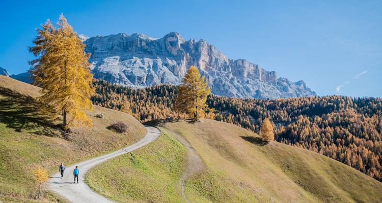 Two people hiking on a path surrounded by hills with fall foliage and towering mountains.