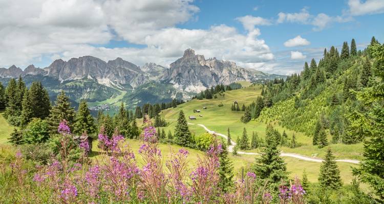 Vibrant valley with flowers in the foreground and dramatic mountains in the distance.