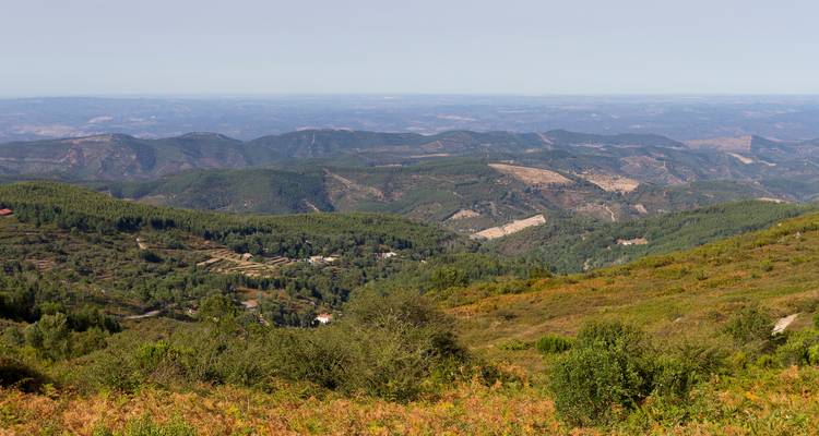 Vallée avec forêt dense et collines