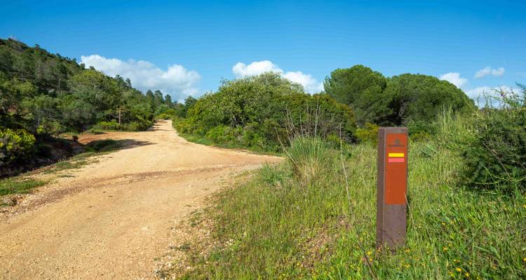Chemin de terre poussiéreux bordé de buissons verts avec un poteau indicateur sous un ciel bleu éclatant.