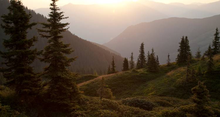 Sonnenuntergangsblick über üppige Berge