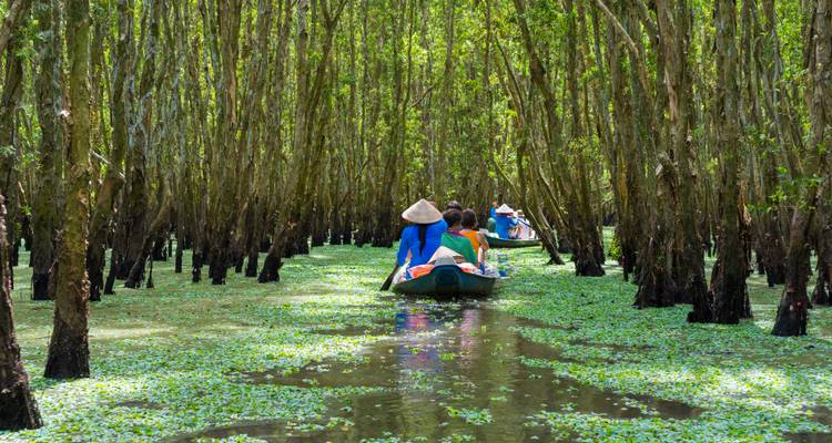 Boat navigating through a swamp with people