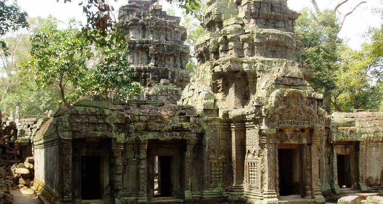 Ancient temple ruins engulfed by jungle