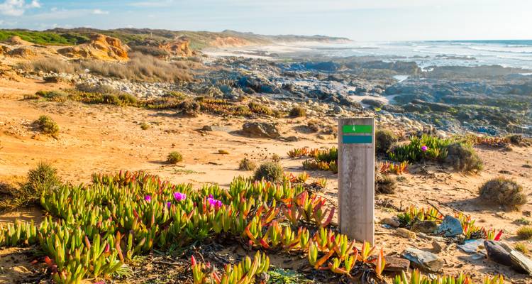 Meer- und Küstenlandschaft mit Vegetation und Wegweiserpfosten.