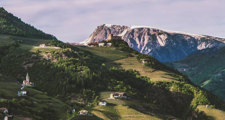 Paysage alpin avec des vignobles et un sommet enneigé au loin.