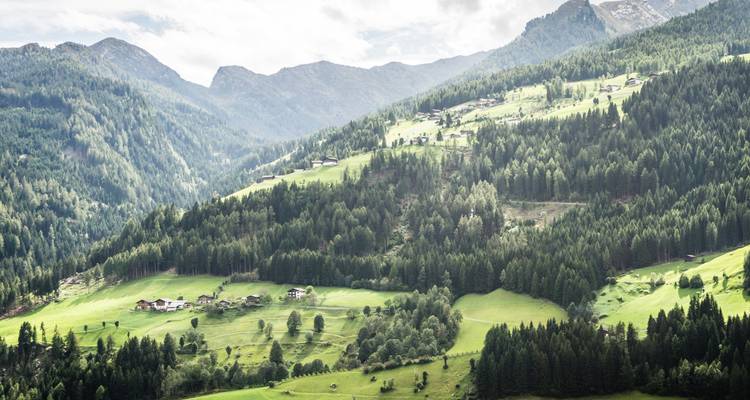 A panoramic view of lush green valleys and forested mountains.