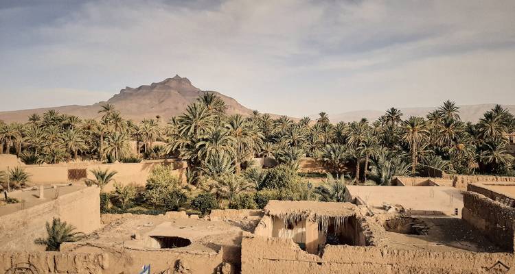 Palm groves with a mountain backdrop and adobe buildings.