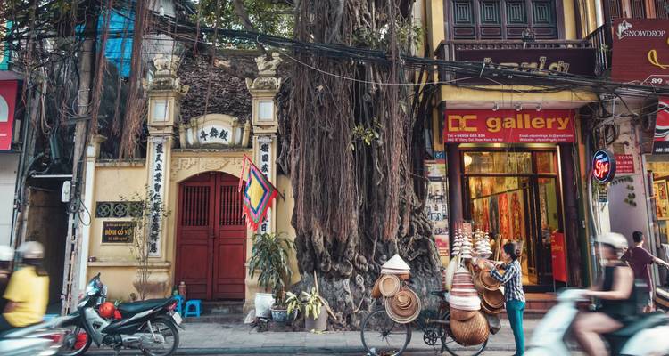A bustling street in Hanoi with a large tree and local shops.