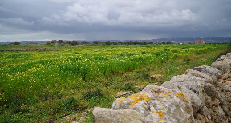 Countryside landscape with cloudy skies and fields.