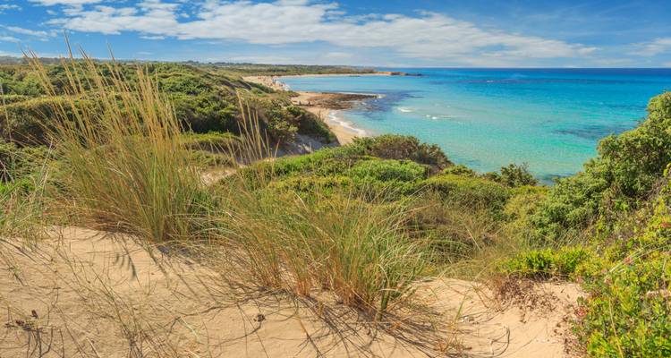 Une zone côtière luxuriante avec des dunes de sable et une eau bleu-vert éclatante.