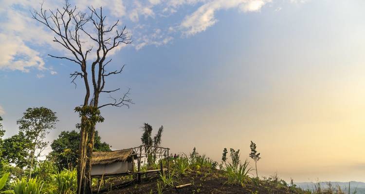 Rustic hut on a hill with a dead tree and distant landscape.