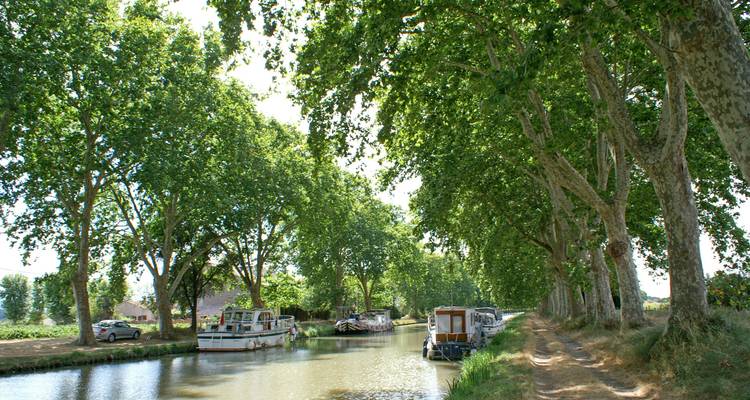 Kanal gesäumt von Bäumen und vertäuten Booten.