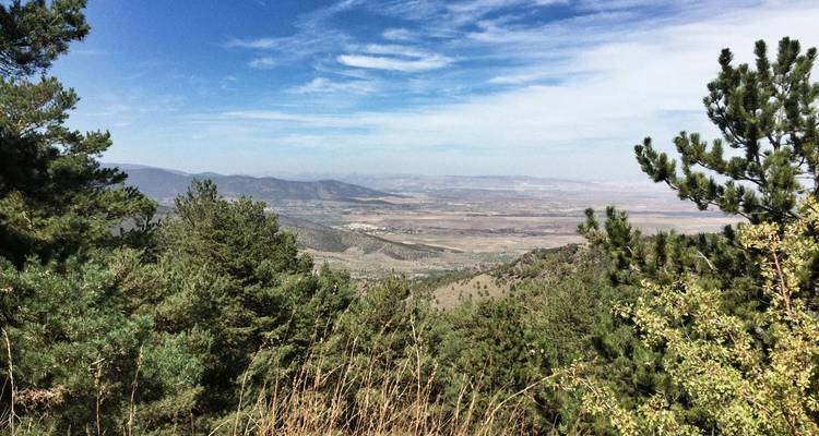 Vue panoramique d'un paysage montagneux avec une végétation clairsemée.