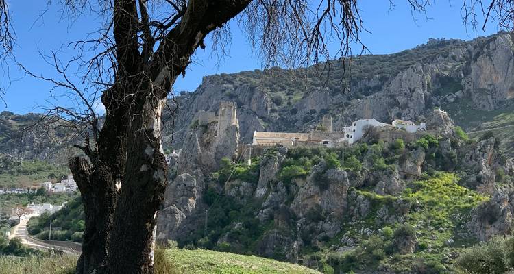 Château dramatique au sommet d'une colline avec des formations rocheuses et des arbres.