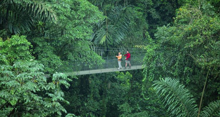 Deux personnes marchant sur un pont suspendu dans une forêt tropicale dense.