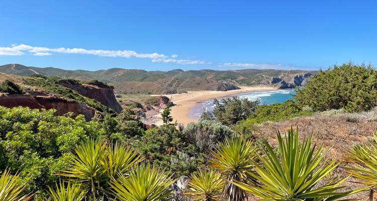 Blick durch stachelige Küstenpflanzen auf einen langen, leeren Strand, türkisfarbenes Wasser und sanfte Hügel dahinter.