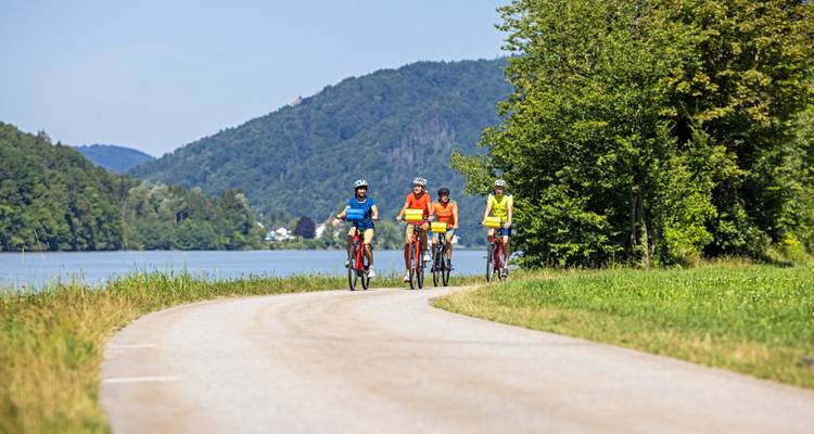 Cuatro ciclistas van por un sendero serpenteante junto al río bordeado por exuberantes colinas boscosas.