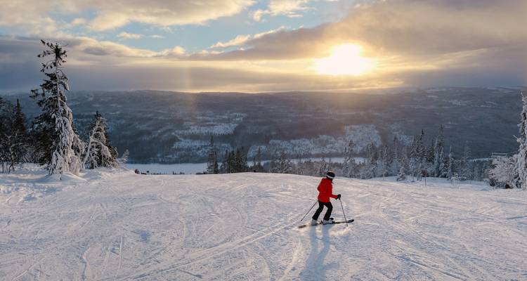 A skier enjoying a snowy landscape under a setting sun.