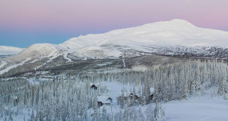 Snow-covered mountains and forest with a pastel sky.
