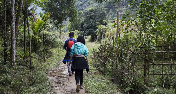 Deux personnes marchant sur un sentier entouré d'une végétation luxuriante.