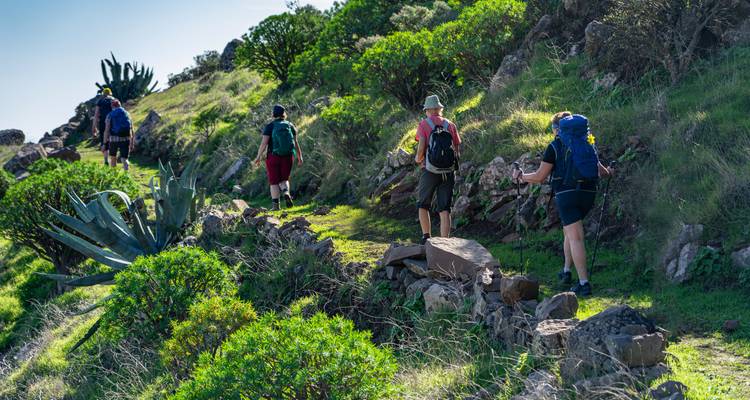 Gruppe von Wanderern mit Rucksäcken, die auf einem grünen Berghang-Pfad unter hellem Himmel aufwärts wandern.