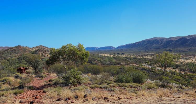 Paysage désertique avec végétation clairsemée.