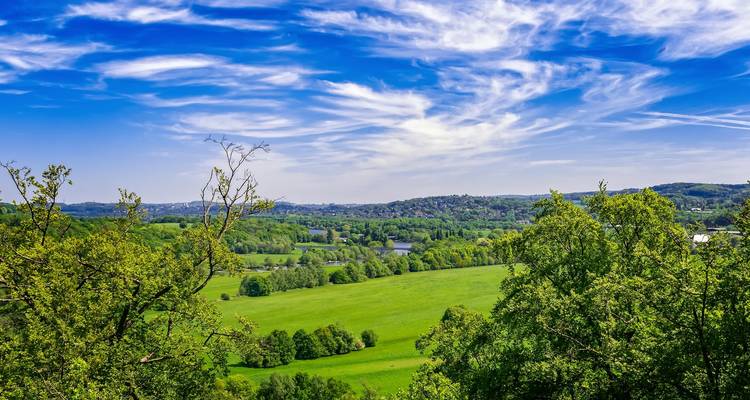 Vallée verdoyante luxuriante avec un ciel bleu clair.