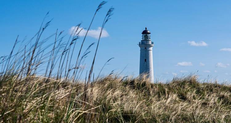 Lighthouse surrounded by tall grass under a clear sky.