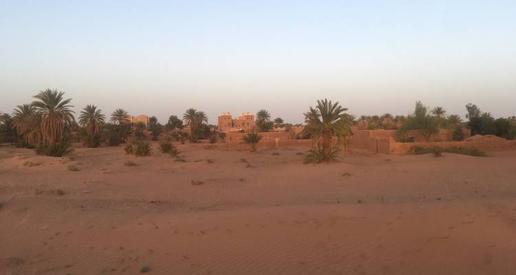 Edificios y palmeras en un paisaje desértico polvoriento al amanecer o al atardecer.