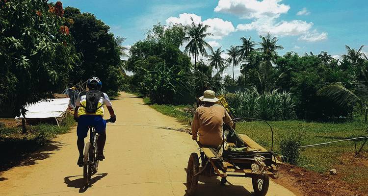 Radfahrer fährt auf einer unbefestigten Straße in der Nähe von grünen Feldern und Palmen.