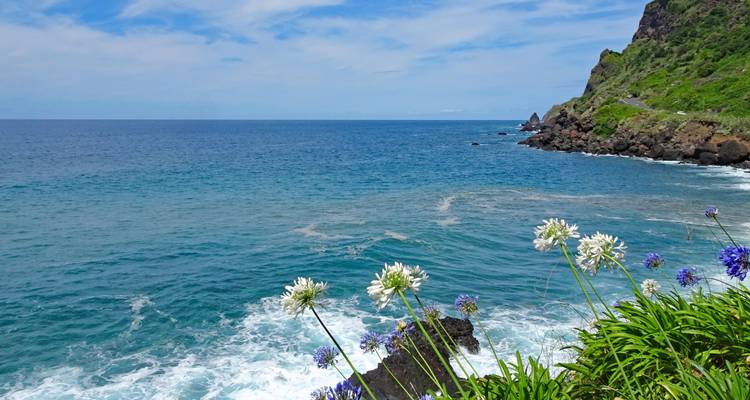 Vagues océaniques s'écrasant contre des falaises rocheuses avec des fleurs éclatantes.