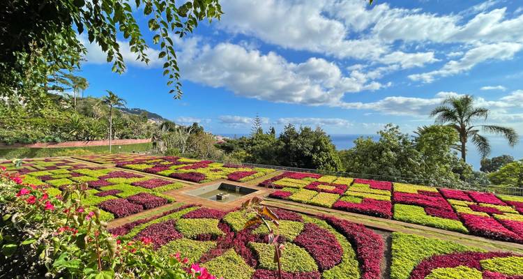 Parterres de fleurs géométriques colorés du jardin botanique avec palmiers et vue sur l'océan au-delà.