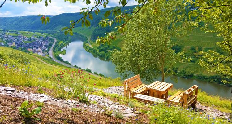 Houten banken met uitzicht op een rustige bocht van de Moezel en een helling met wilde bloemen.