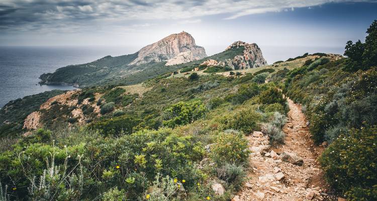 Sentier de randonnée avec terrain rocheux et vues lointaines sur l'océan.