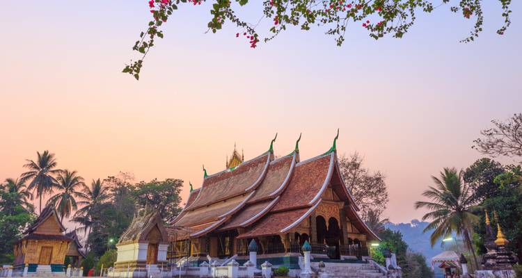 Une vue panoramique d'un temple traditionnel entouré d'arbres avec un ciel pastel.