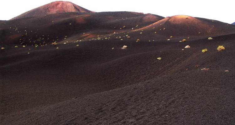 Paysage volcanique vallonné avec une végétation clairsemée.