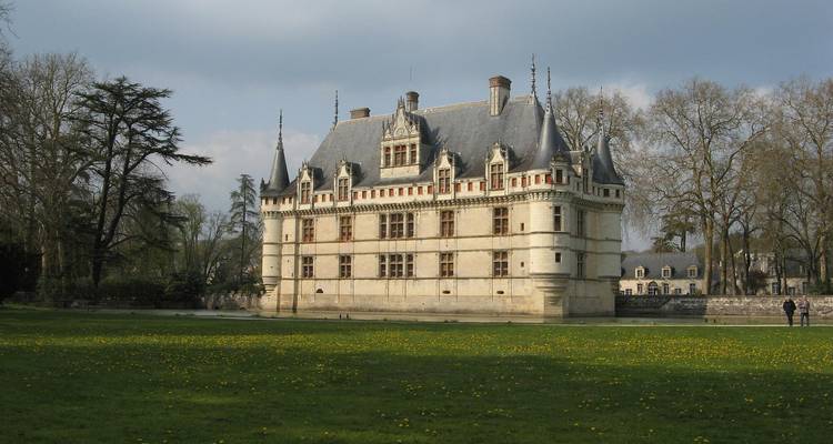Castillo histórico rodeado por un jardín con flores amarillas esparcidas.