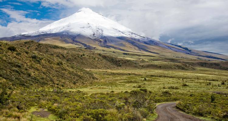 Montagne enneigée surplombant un vaste champ ouvert avec un chemin de terre.