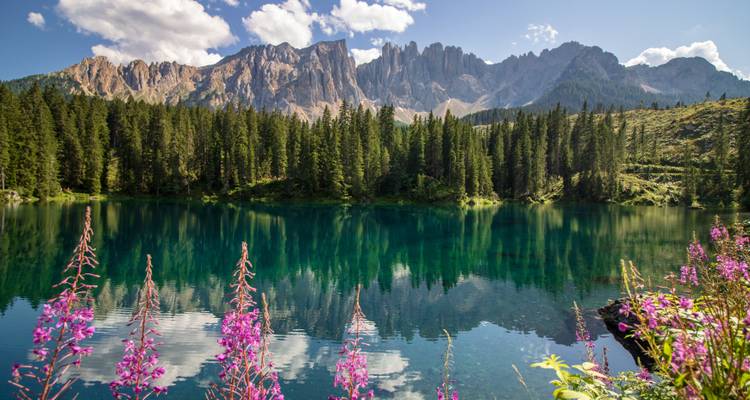 Lago rodeado de bosque con montañas reflejándose en el agua.